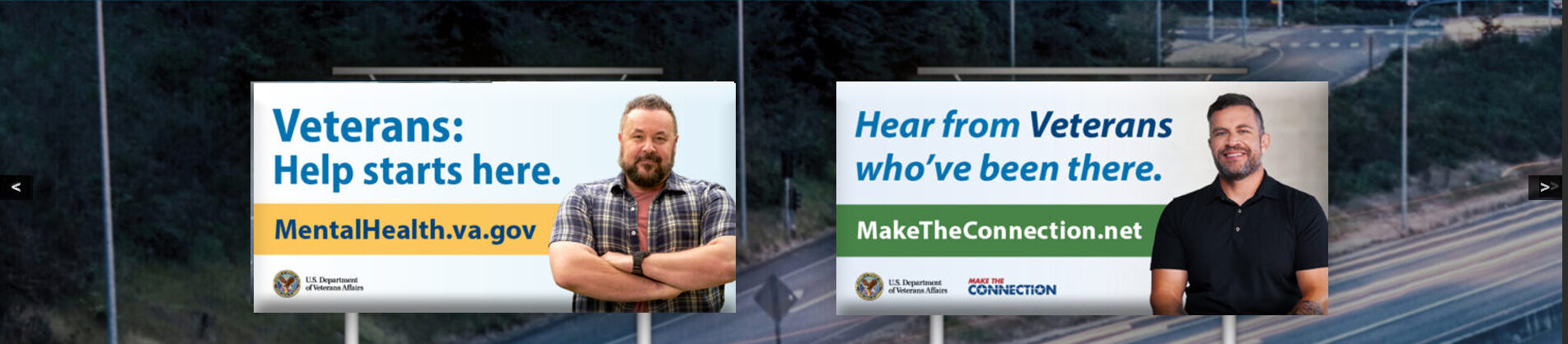VA Mental Health meta